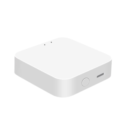 Smart Gateway (GW20)